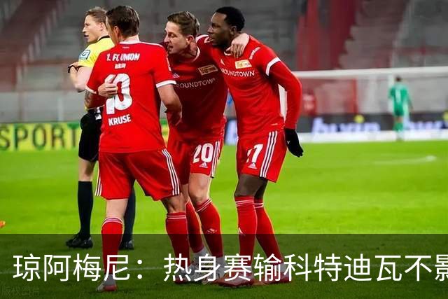 琼阿梅尼：热身赛输科特迪瓦不影响法国，可以说是一次小小的提醒
